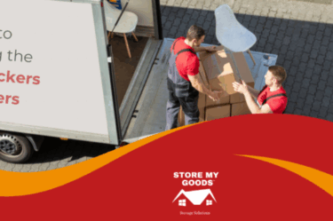 professional packers and movers