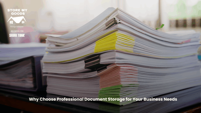 Why Choose Professional Document Storage for Your Business Needs